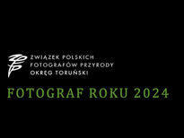 Fotograf Roku 2024 Okręgu Toruńskiego Związku Polskich Fotografów Przyrody - etap okręgowy