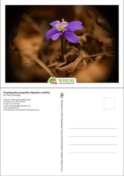 Wdecki Park Krajobrazowy - pocztówki