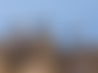 31 maj - Dzień Bociana Białego