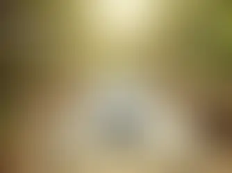 A computer on a white desk outside with sunlit trees, tables, chairs, and sacks in the background. Sunbeams create a serene, natural atmosphere.