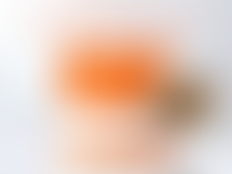 Ginger Extract and Prebiotic Power for Digestive Ease