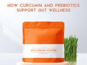 How Curcumin and Prebiotics Support Gut Wellness