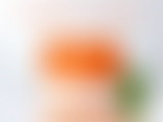 How Curcumin and Prebiotics Support Gut Wellness