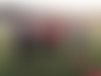 NEW MEMBERS CHALLENGE AND MEMBERS OF THE MONTH!