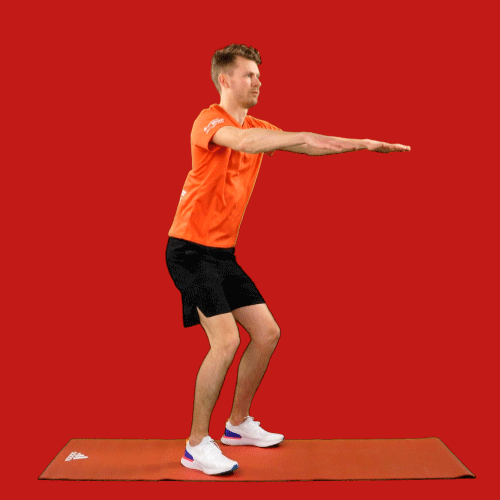 half squats.gif