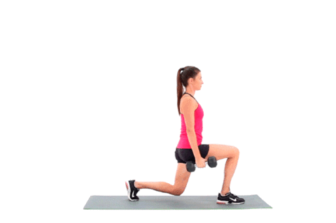 lunges.gif