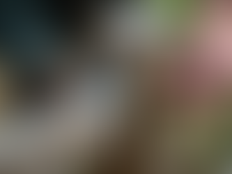 Ultimate Guide: DIY Fence and Gate Repair with Smartshield Maintenance