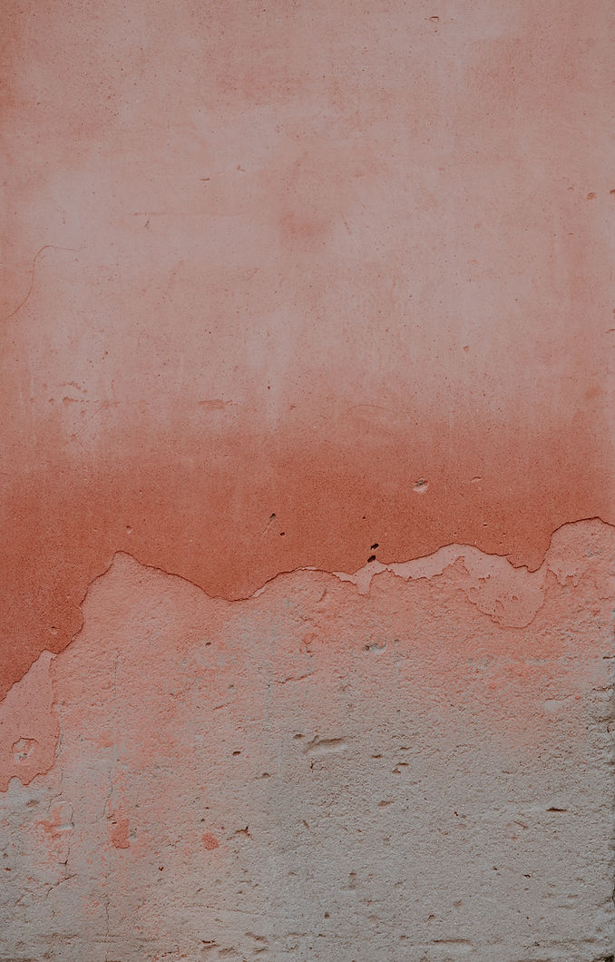 annie-spratt-g5DkG2ZF7ZY-unsplash_roseconcrete.jpg
