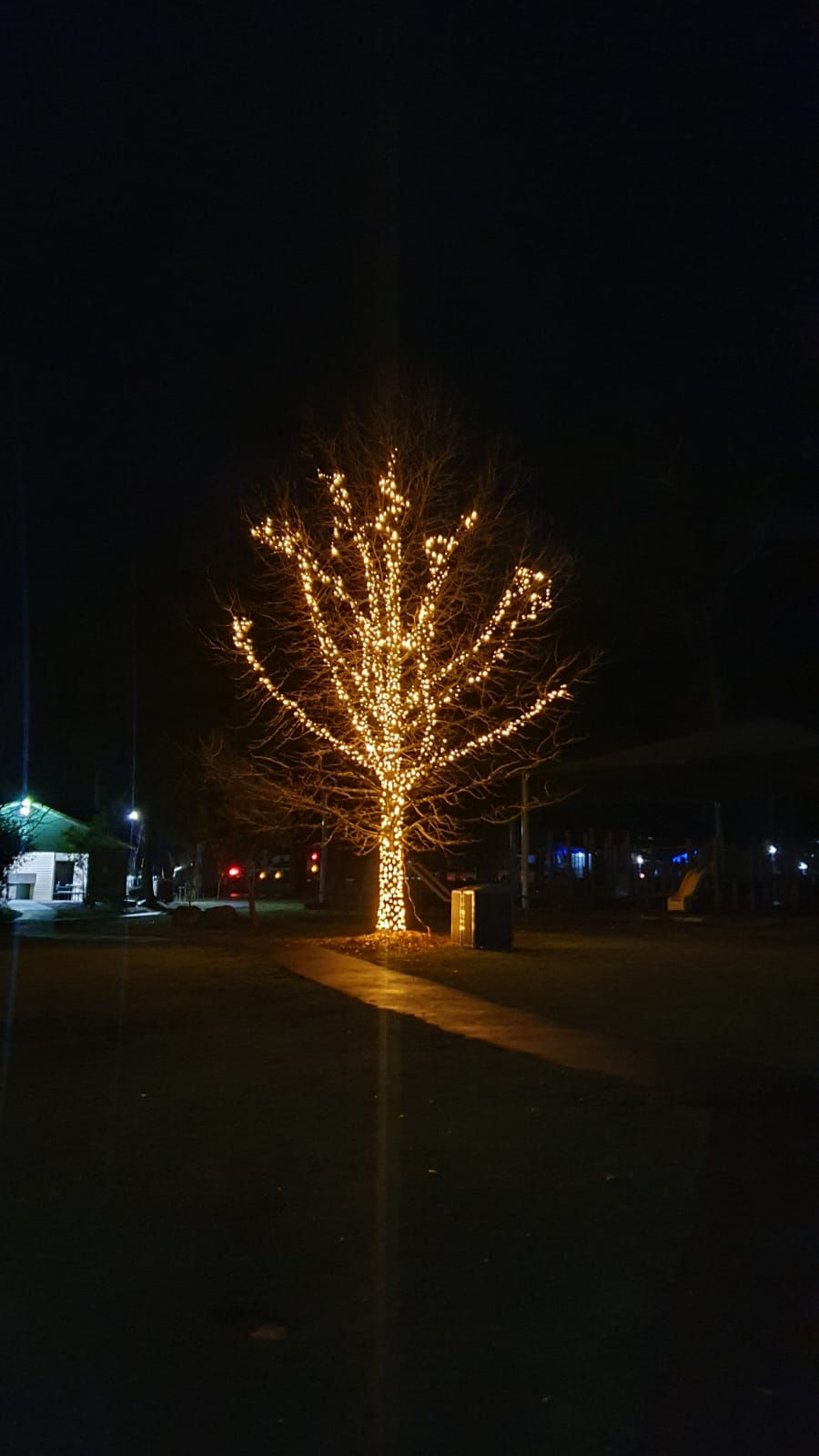 Sunset walk of lights