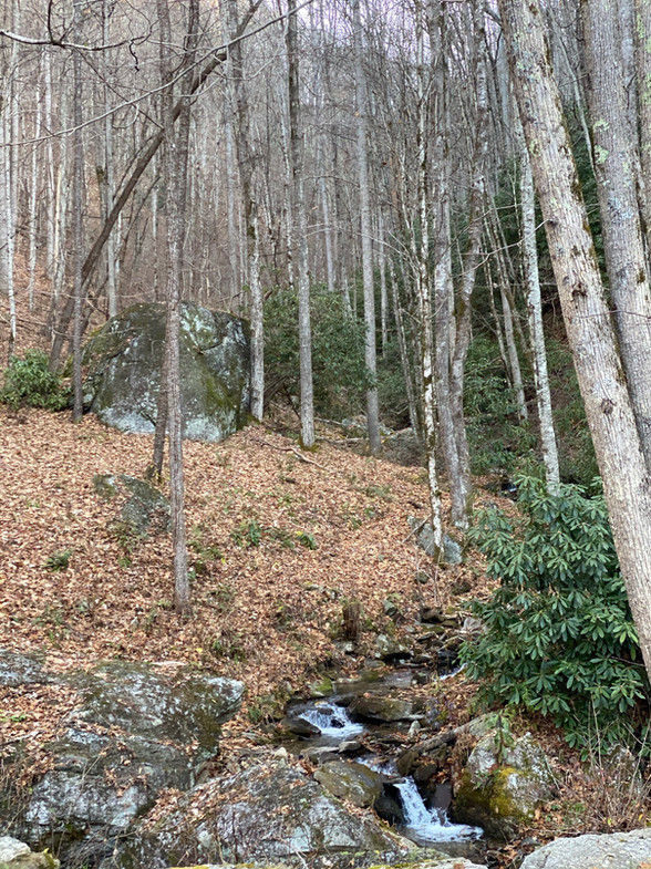 IMG_7865.JPEG