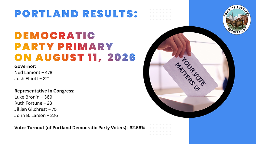 democratic primary voting results august 2026.png