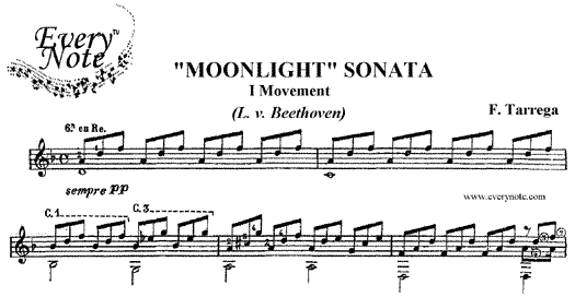 Moonlight Sonata - Could A Second Job Work for You?