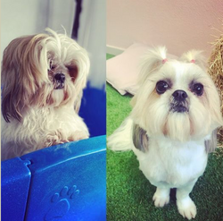 Captura de ecrã 2021-05-04, às 18.58.24.