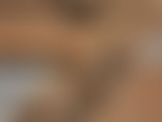 Uso da Madeira na Construção Civil