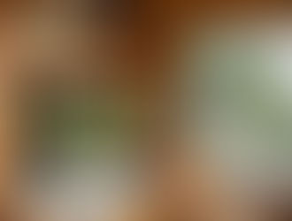 Madeira na construção civil x Sustentabilidade