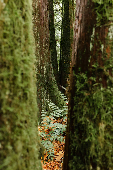 greg-rosenke-nw8Ue9cUggs-unsplash (1).jpg