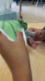 Thumbnail: Hungry Cutters- Insect Series