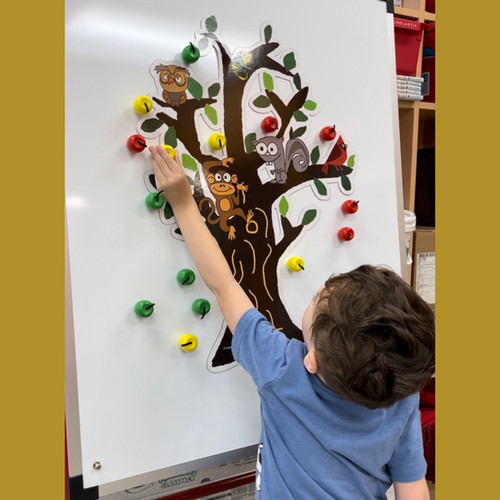 apple ca870セット Amazon.com: Odpaltoy AK820 MAX Mechanical Gaming Magnetic Switch