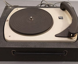 Dual P 300
