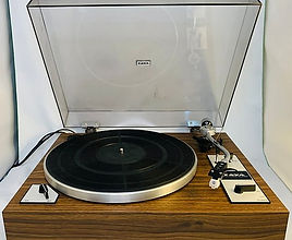 Taya LP 100