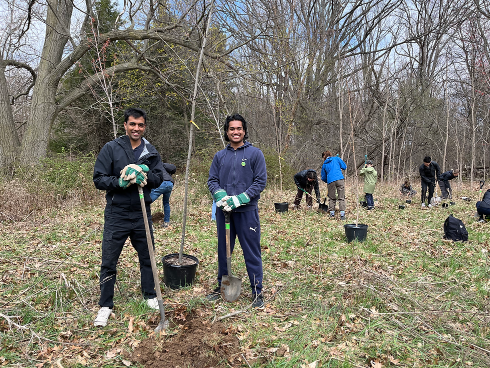 Tree Planting @ RBG Aviary