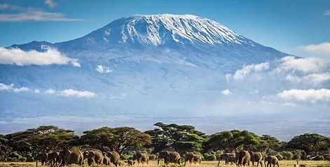 mount-kilimanjaro-365give.jpg