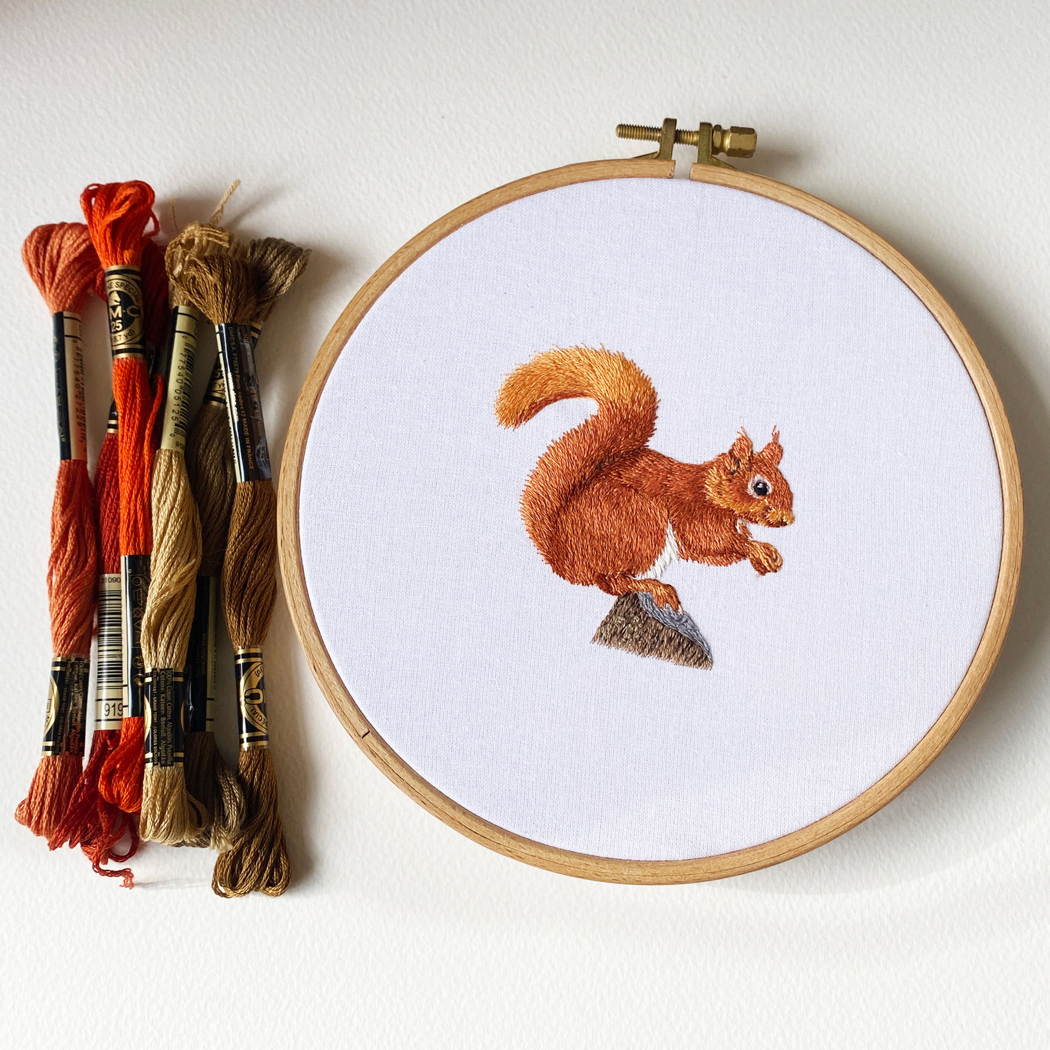 Red Squirrel Complete Embroidery Kit