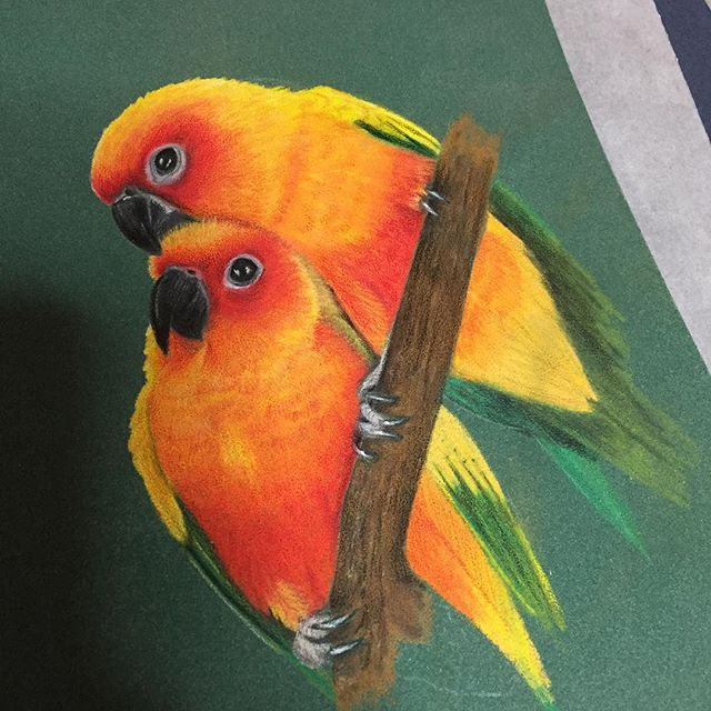 Thumbnail: Pet portrait