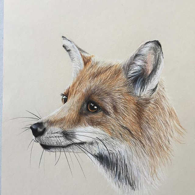 Thumbnail: Pet portrait