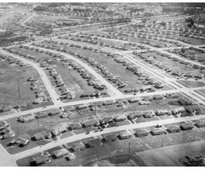 birds eye view park forest