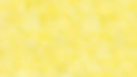fond jaune.jpg