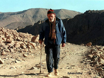 Théodore Monod, Cirad