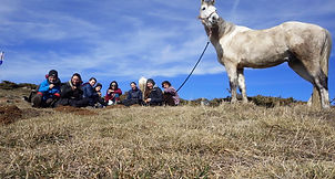 2021-02 - Ariège - Pôle Equestre - (86)