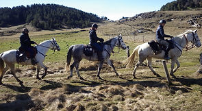 2021-02 - Ariège - Pôle Equestre - (20)
