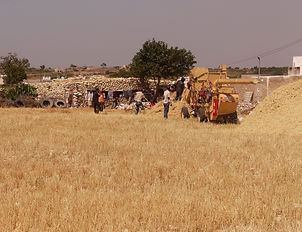 Maroc, Essaouira, randonnée, Sidi kaouki, marche, océan