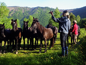 Merens, randonnée équestre, Ariège, cavalus