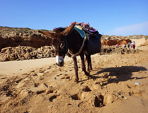 Maroc, Essaouira, randonnée, Sidi kaouki, marche, océan