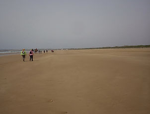 Maroc, Essaouira, randonnée, Sidi kaouki, marche, océan