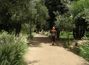 Cyber Park, Marrakech