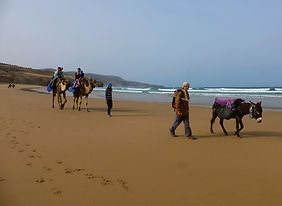 Maroc, randonnée atlantique, Essaouira, Sidi Kaouki