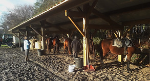 Centre Equestre marina, Mimizan