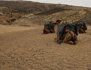 Maroc, Essaouira, randonnée, Sidi kaouki, marche, océan