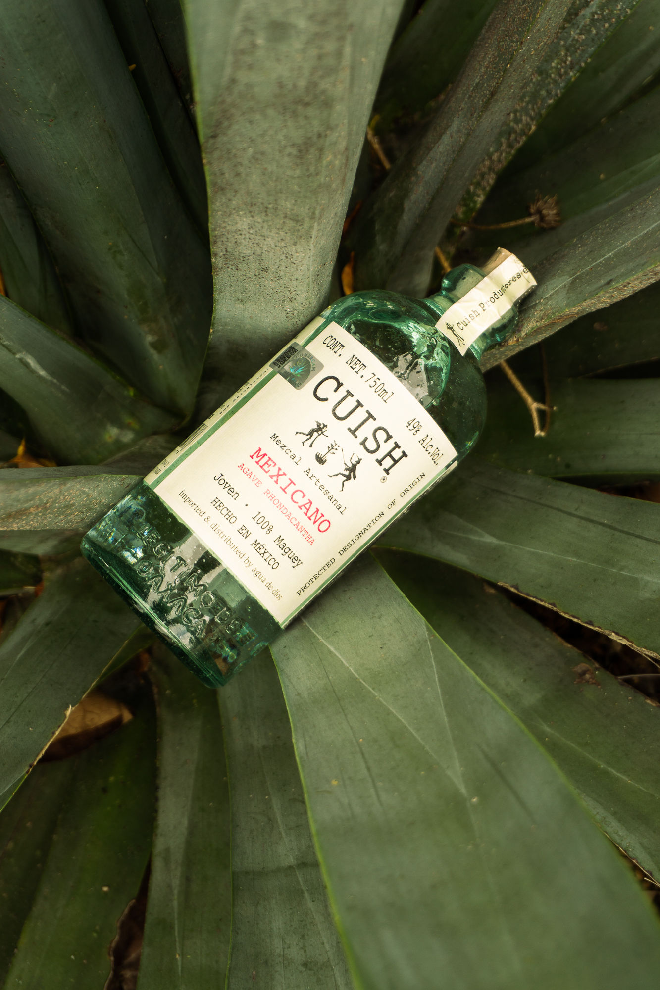CUISH - mexicano