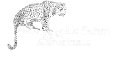 Safari Botswana