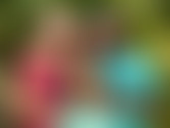 The Family as the Heart of Christ's Mission