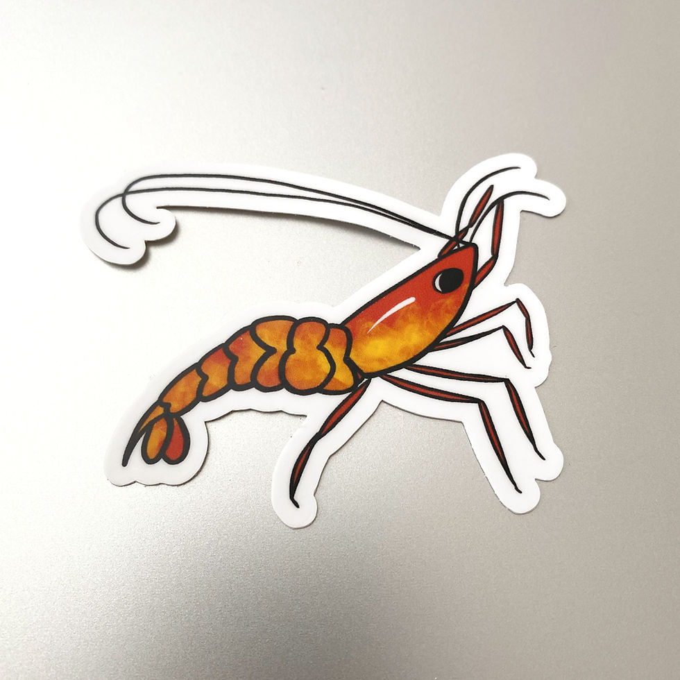 Thumbnail: Prawn Vinyl Sticker