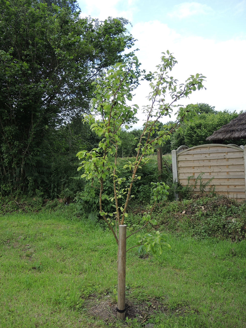 DSCN5109.JPG