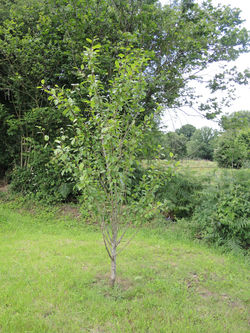 DSCN5108.JPG