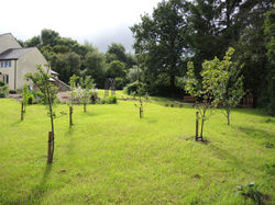 DSCN5056.JPG