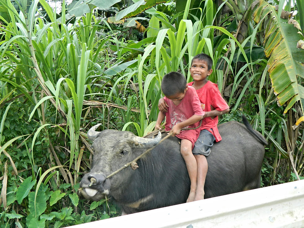 Childhood Innocence